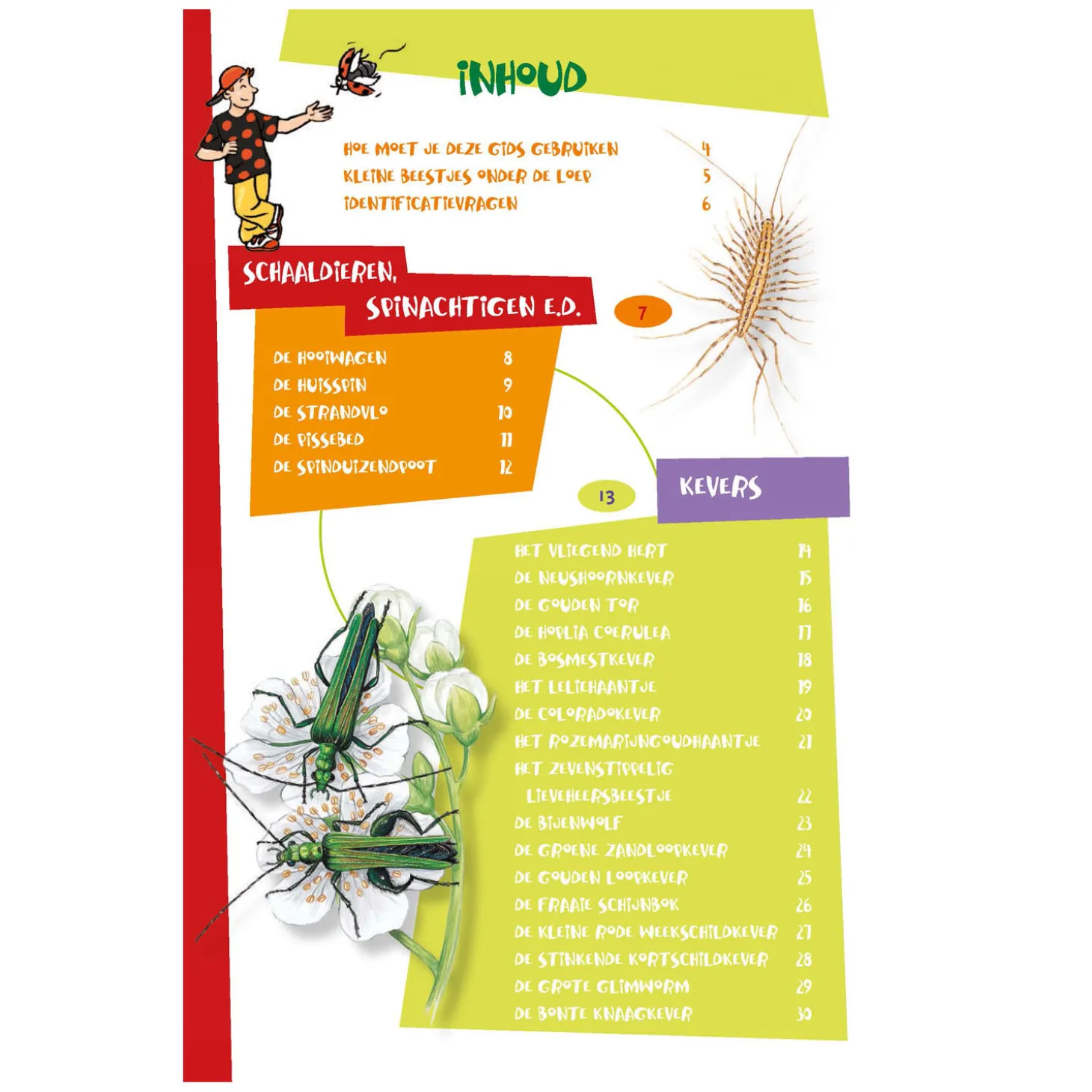 De leukste insectengids voor kids