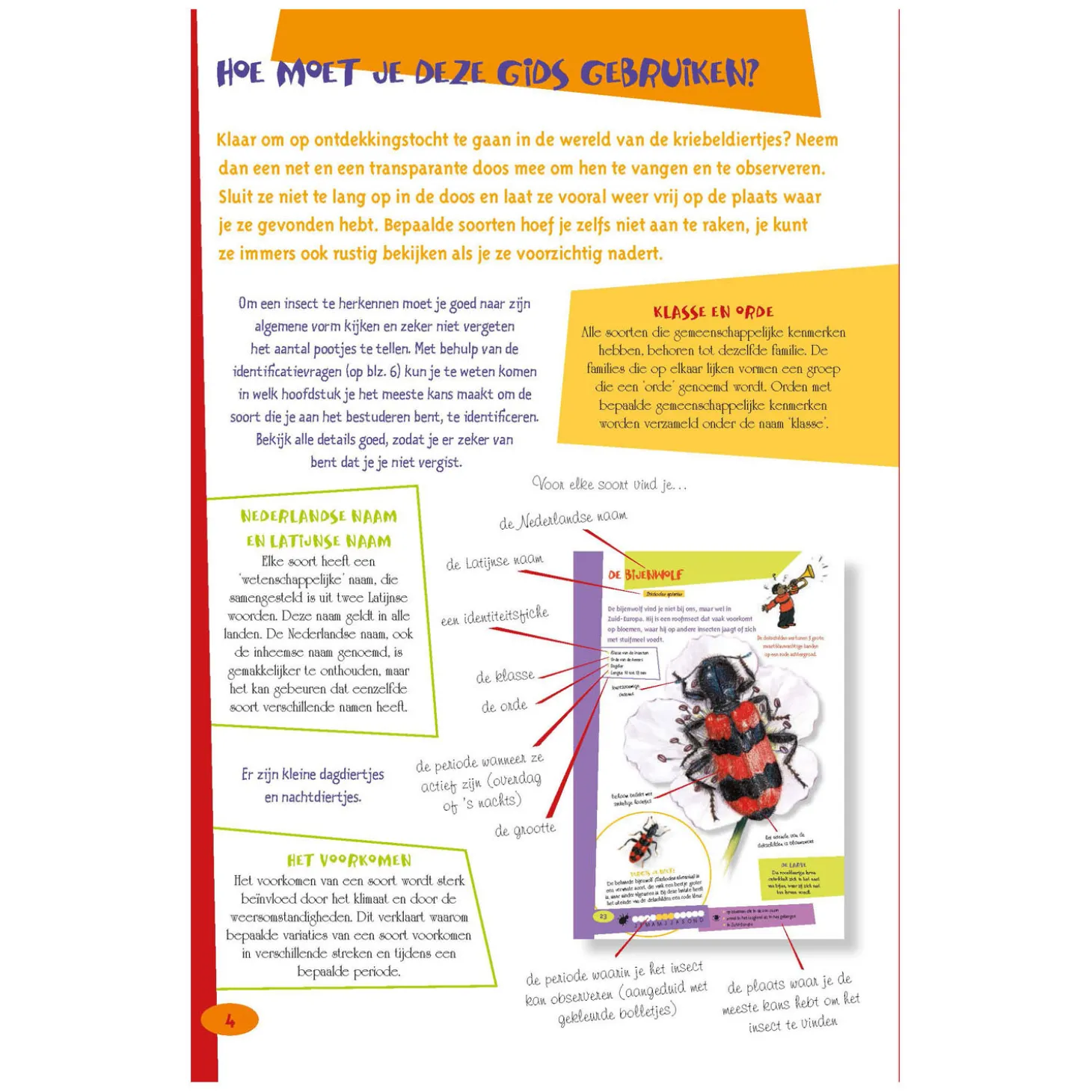 De leukste insectengids voor kids