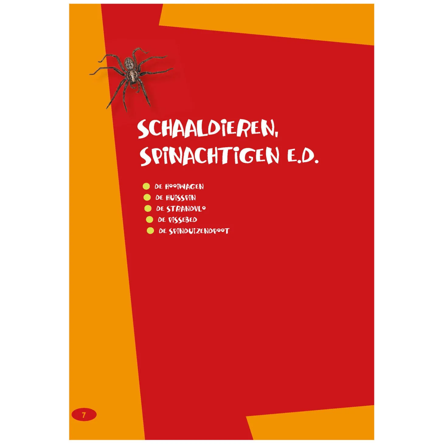 De leukste insectengids voor kids