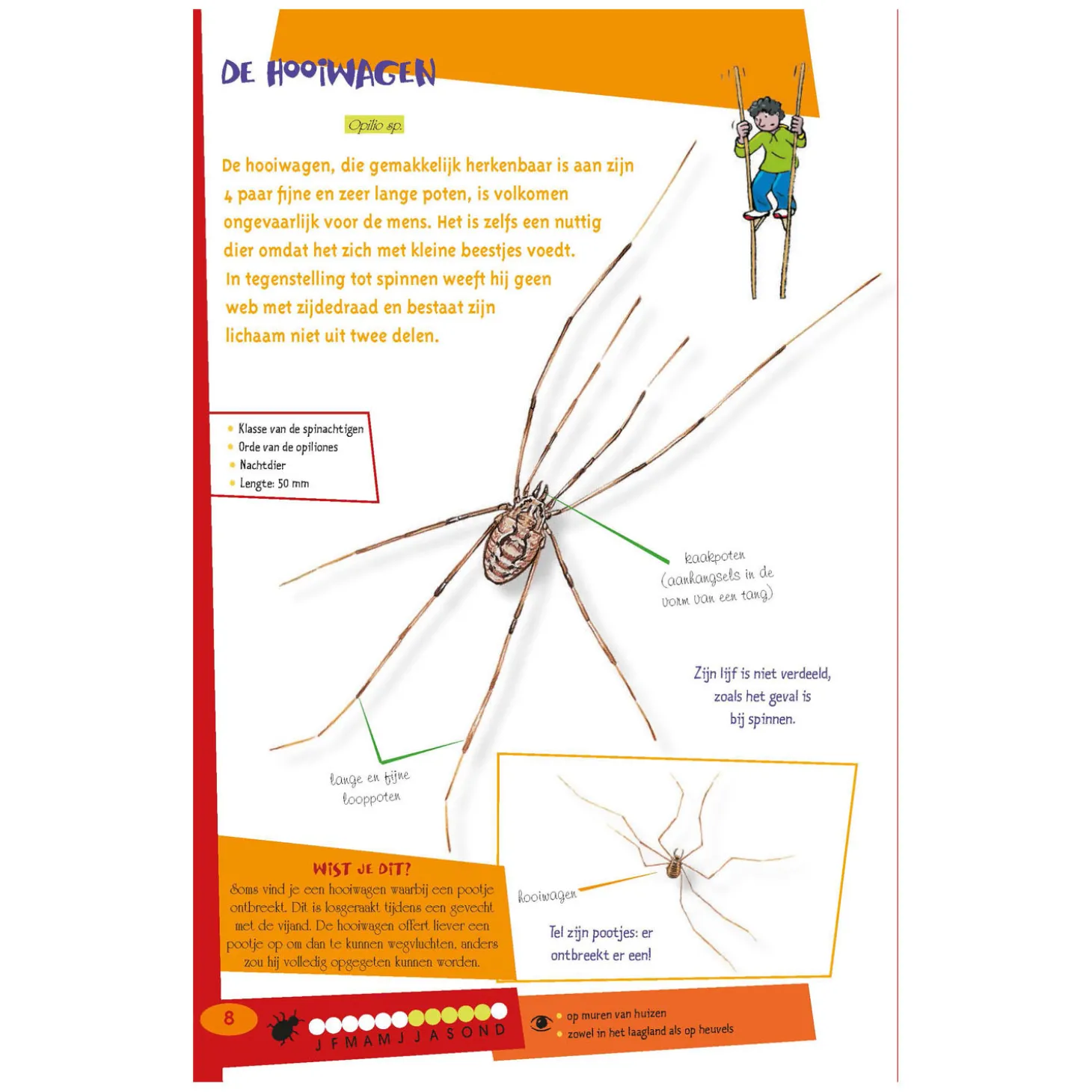 De leukste insectengids voor kids