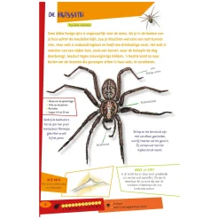 De leukste insectengids voor kids