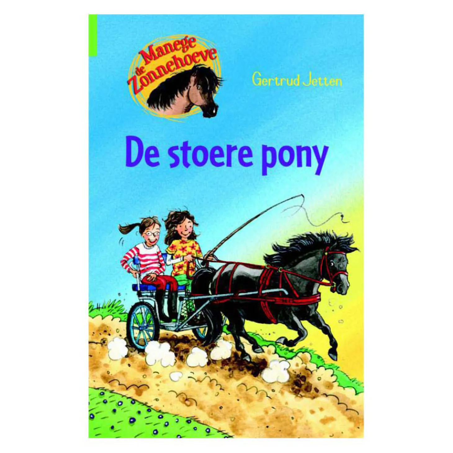 De Stoere Pony