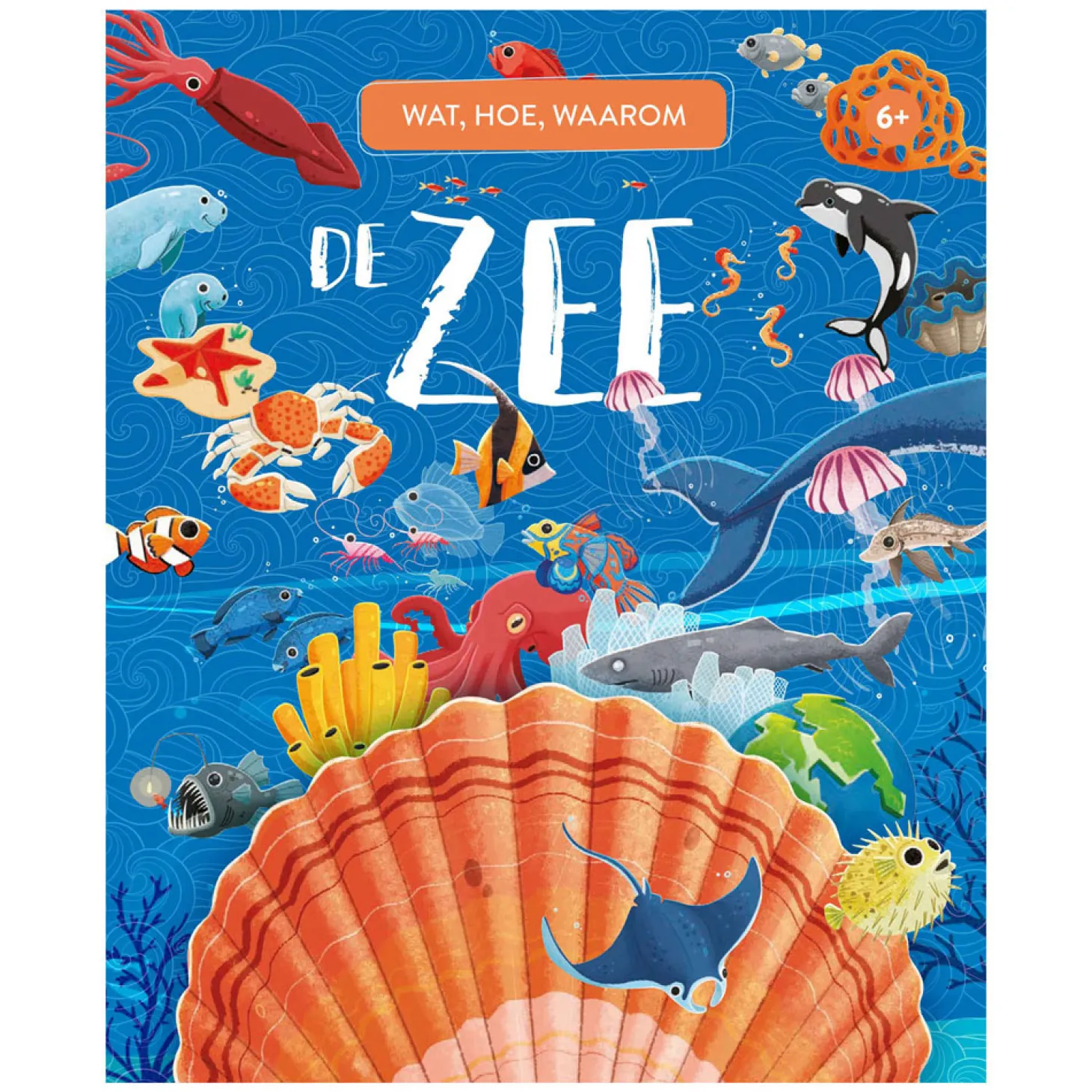 De Zee - Wat, Hoe en Waarom