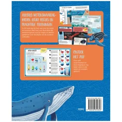 De Zee - Wat, Hoe en Waarom