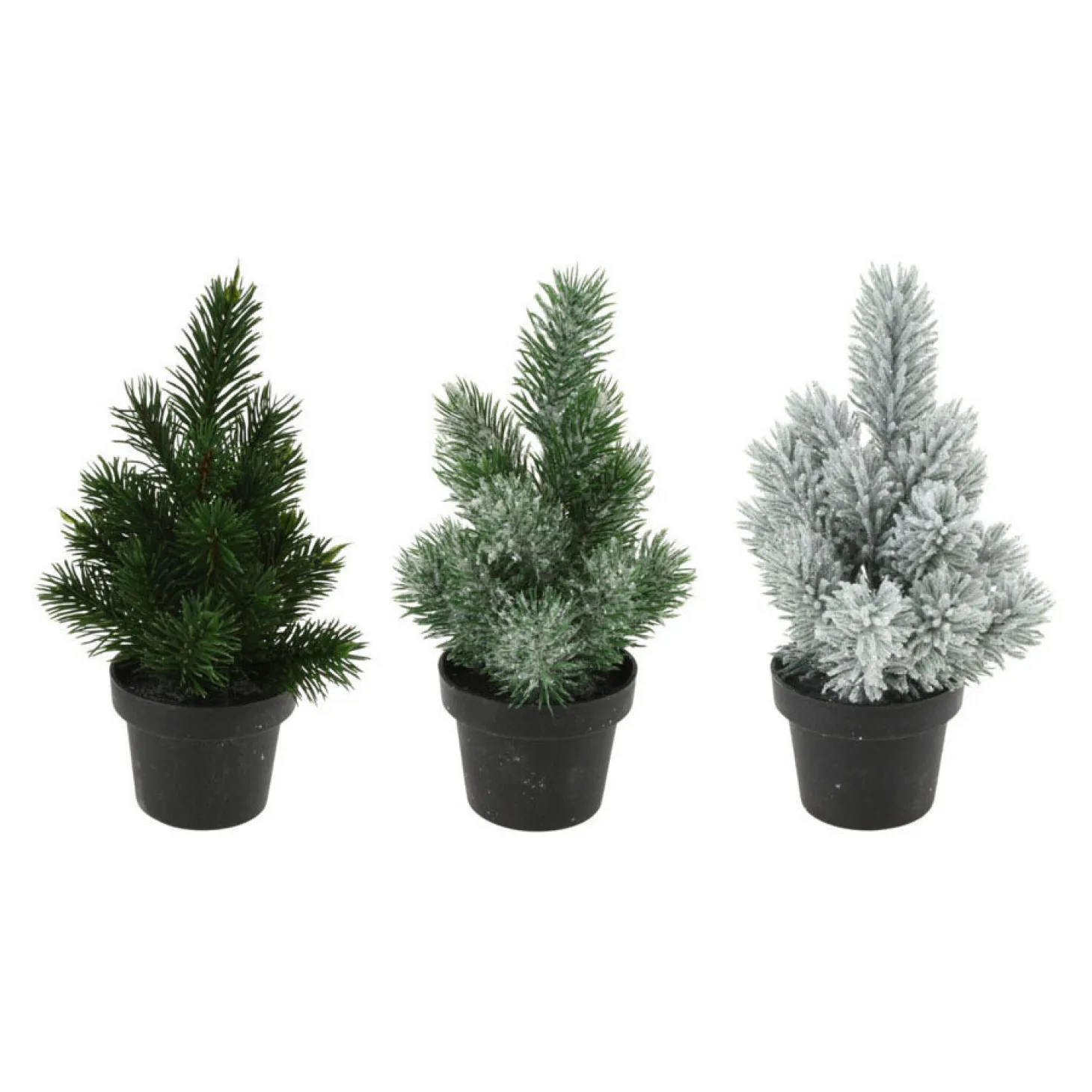 Denneboom in Pot, 33cm