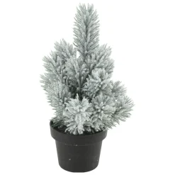 Denneboom in Pot, 33cm