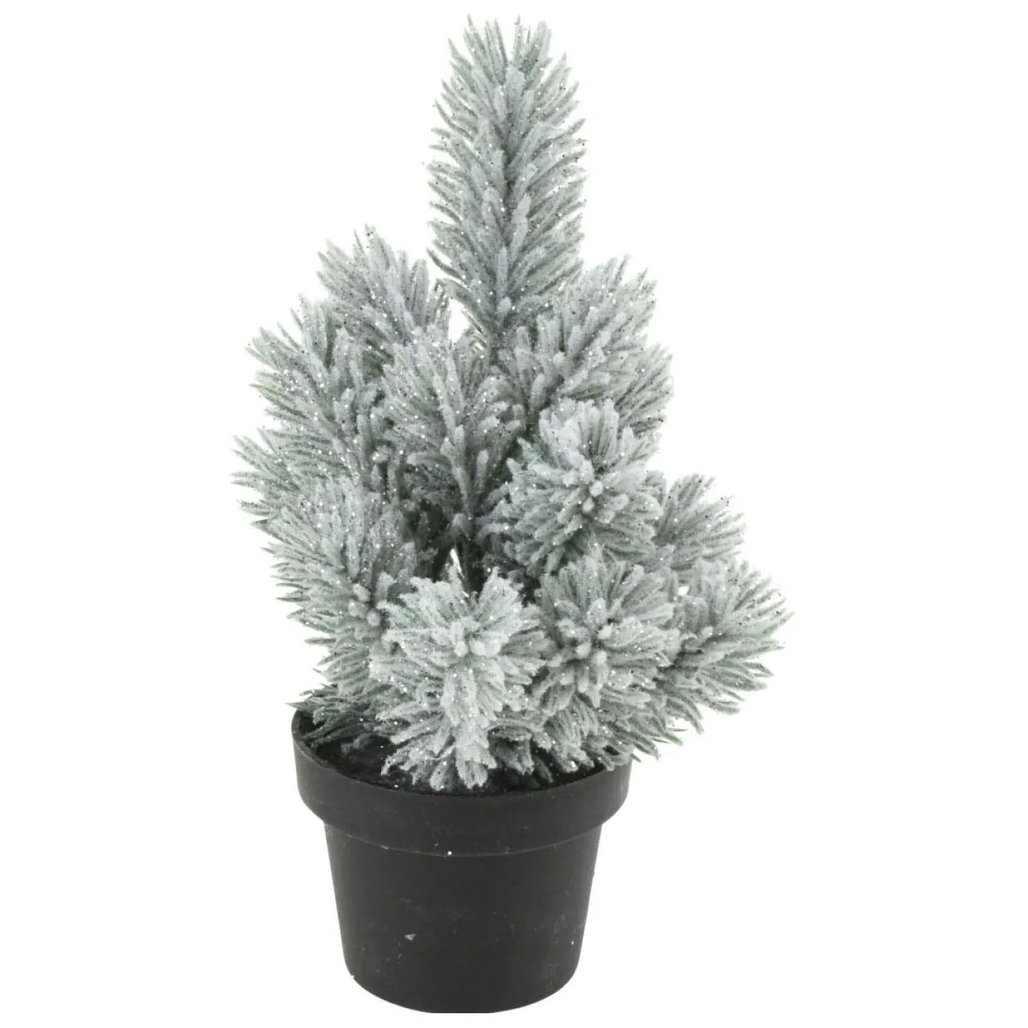 Denneboom in Pot, 33cm