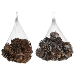 Dennenappels met Boomschors