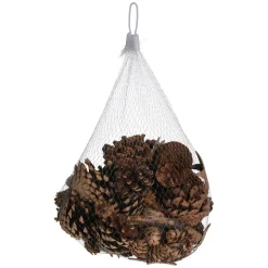 Dennenappels met Boomschors