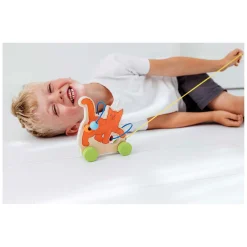 Dikkie Dik Houten Trekfiguur met Motoriekspiraal