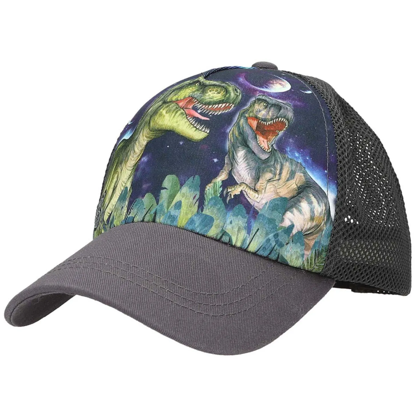 Dino World Pet met Print Galaxy