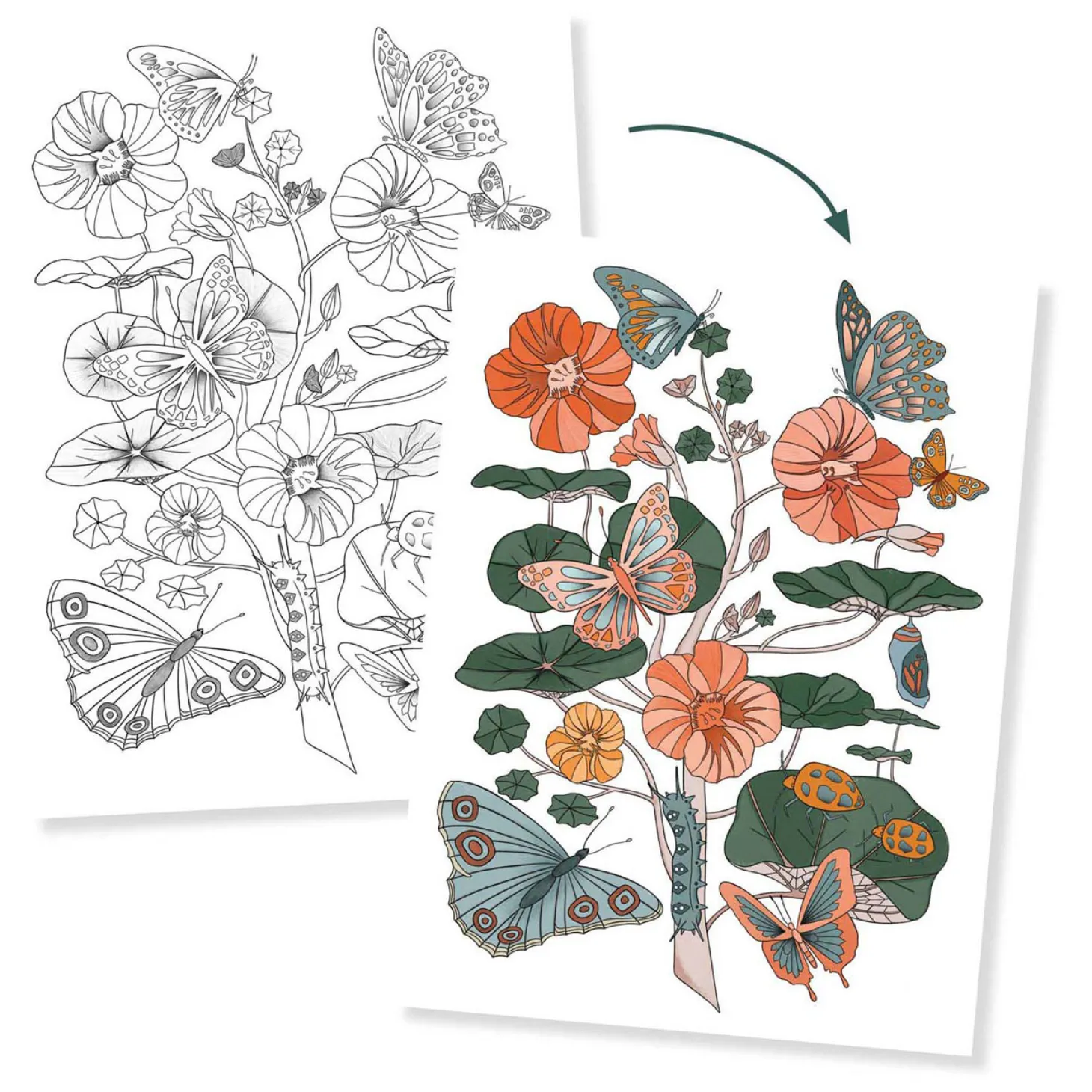 Djeco Kleurplaten Natuur