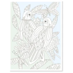Djeco Kleurplaten Vogels