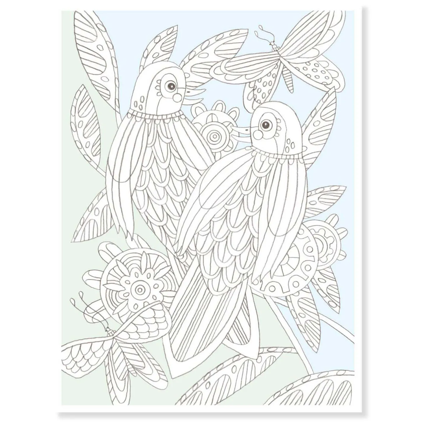 Djeco Kleurplaten Vogels