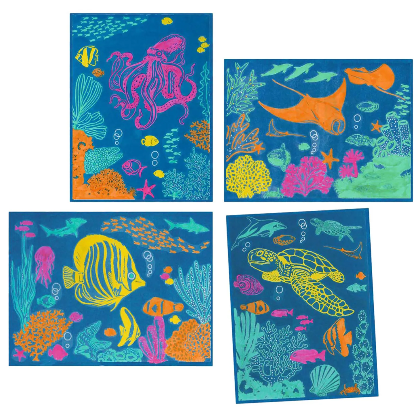 Djeco Knutselen Cyanotype - Zee