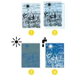 Djeco Knutselen Cyanotype - Nachtelijke Savanne