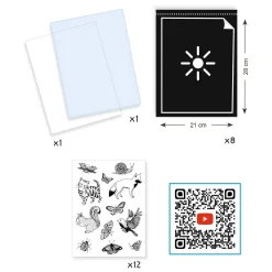 Djeco Knutselen Startpakket Cyanotype - Bladeren