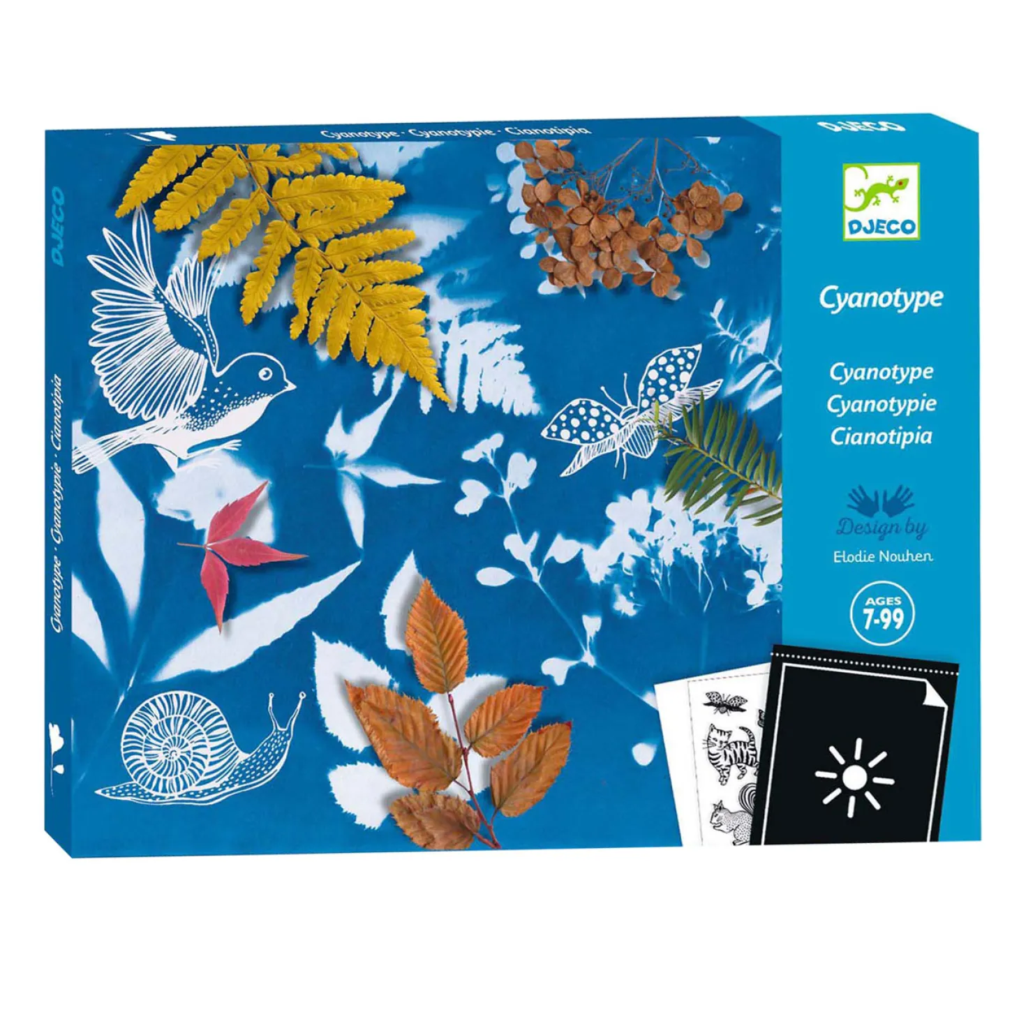Djeco Knutselen Startpakket Cyanotype - Bladeren