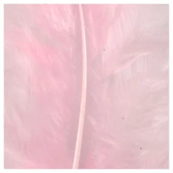 Dons Lichtrood 5-12 cm, 15st.