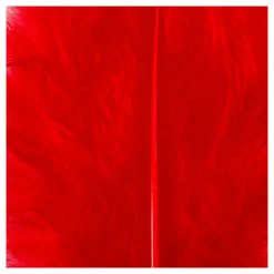 Dons Rood 5-12 cm, 15st.