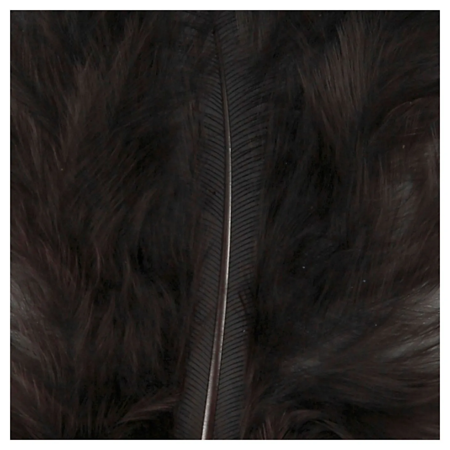 Dons Zwart 5-12 cm, 15st.