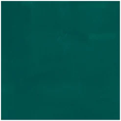 Ecola Plakkaatverf Fles 16ml Donkergroen 602