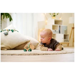 Eichhorn Baby HIPP Houten Duwfiguur Ezel
