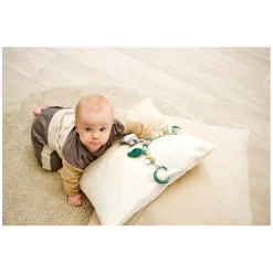 Eichhorn Baby HIPP Kinderwagenspanner