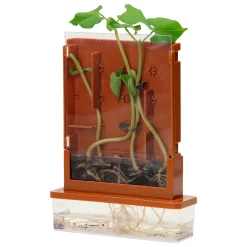 Experimenten - Planten Doolhof, 21dlg.