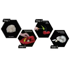 Explore Geodes Breken