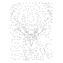 Extreme Punt Naar Punt  - Bosdieren