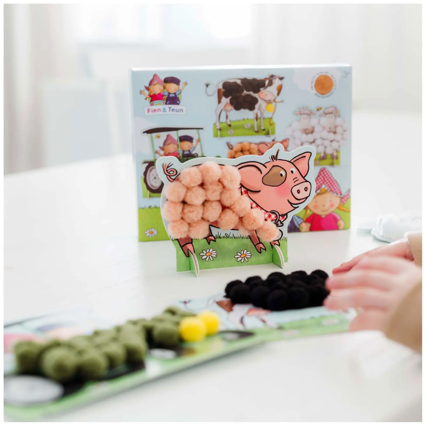 Fien & Teun Pompom Plakken