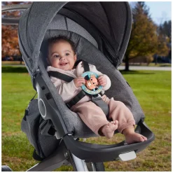 Fisher Price Bijt Rammelaar Axeloth