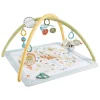 Fisher Price Simply Senses Babygym