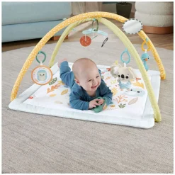 Fisher Price Simply Senses Babygym