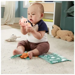 Fisher Price Zoveel Zintuigen Cadeauset