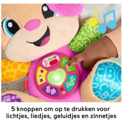 Fisher Price Zusje Puppy Knuffel met Geluid