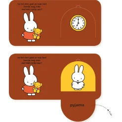 flapjesboek naar bed met nijntje