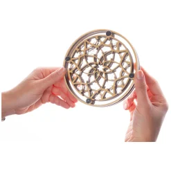 Flower Maze Breinpuzzel