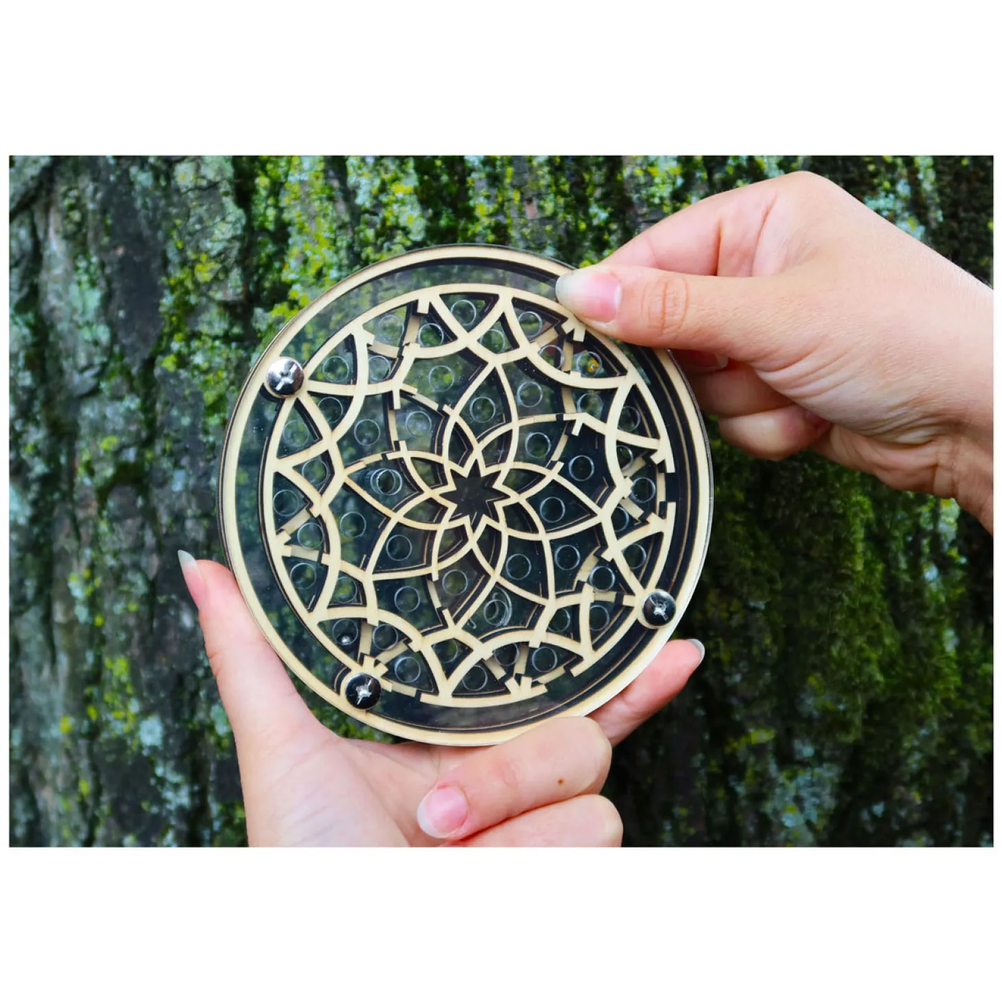 Flower Maze Breinpuzzel