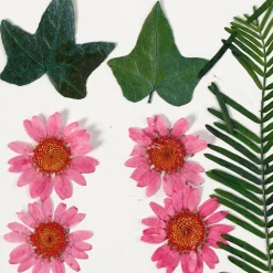 Gedroogde Bloemen en Bladeren Lichtrood, 19dlg.