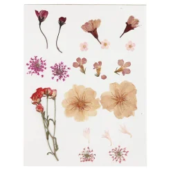 Gedroogde Bloemen en Bladeren Lichtroze