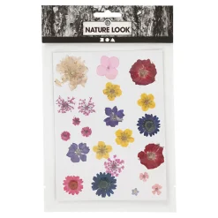 Gedroogde Bloemen en Bladeren Diverse Kleuren