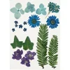 Gedroogde Bloemen en Bladeren Blauw, 19dlg.