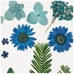 Gedroogde Bloemen en Bladeren Blauw, 19dlg.