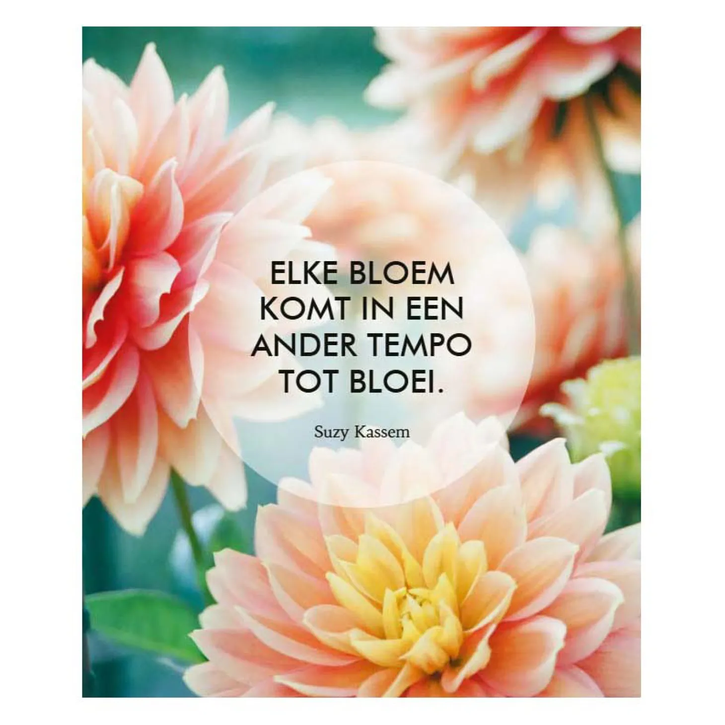 Geloof in Jezelf! - 52 Inspiratiekaarten