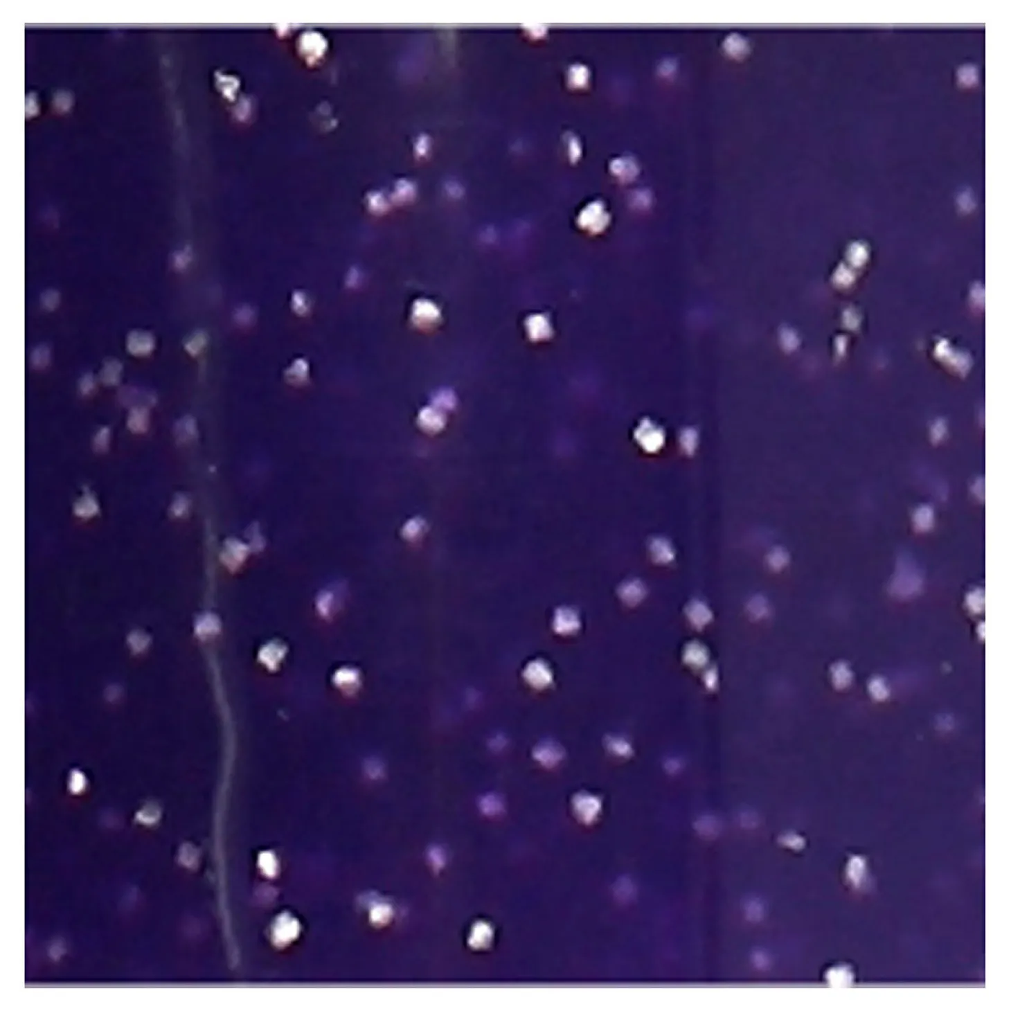 Glas- en Porseleinstift Glitter Semi-Dekkend - Violet
