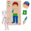 Goki Houten Lagenpuzzel Menselijk Lichaam Jongen, 29st.