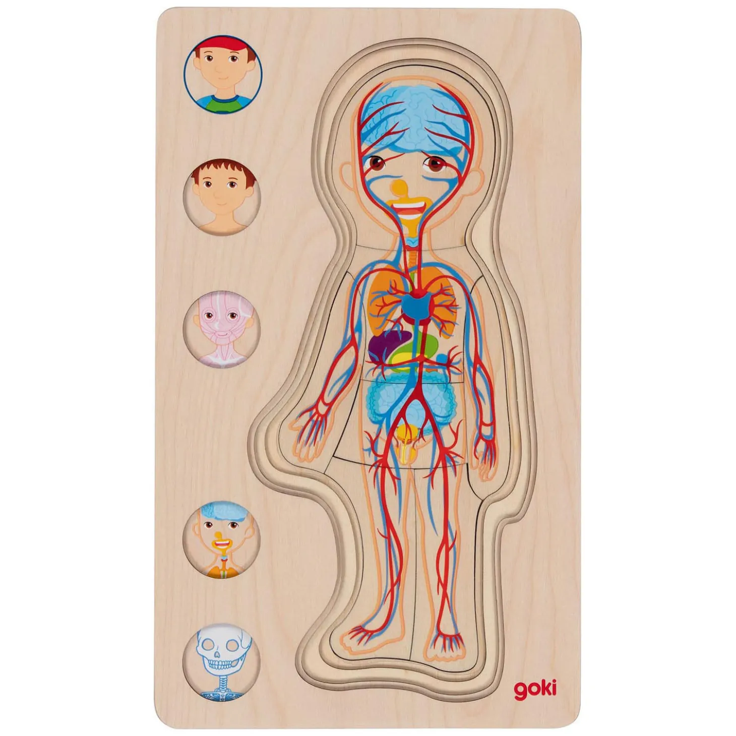 Goki Houten Lagenpuzzel Menselijk Lichaam Jongen, 29st.