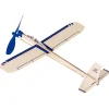 Goki Houten Zweefvliegtuig